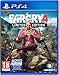 Produktbild Ubisoft 300066908 - FAR CRY 4: LIMITED EDITION