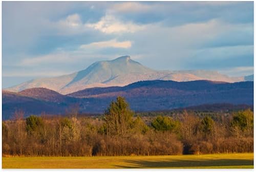 Rompecabezas de 1000 piezas para adultos, camellos, joroba, montaña, noche, Inglaterra, campo agrícola, otoño, juego de rompecabezas para la disponible en Yaxa Colombia