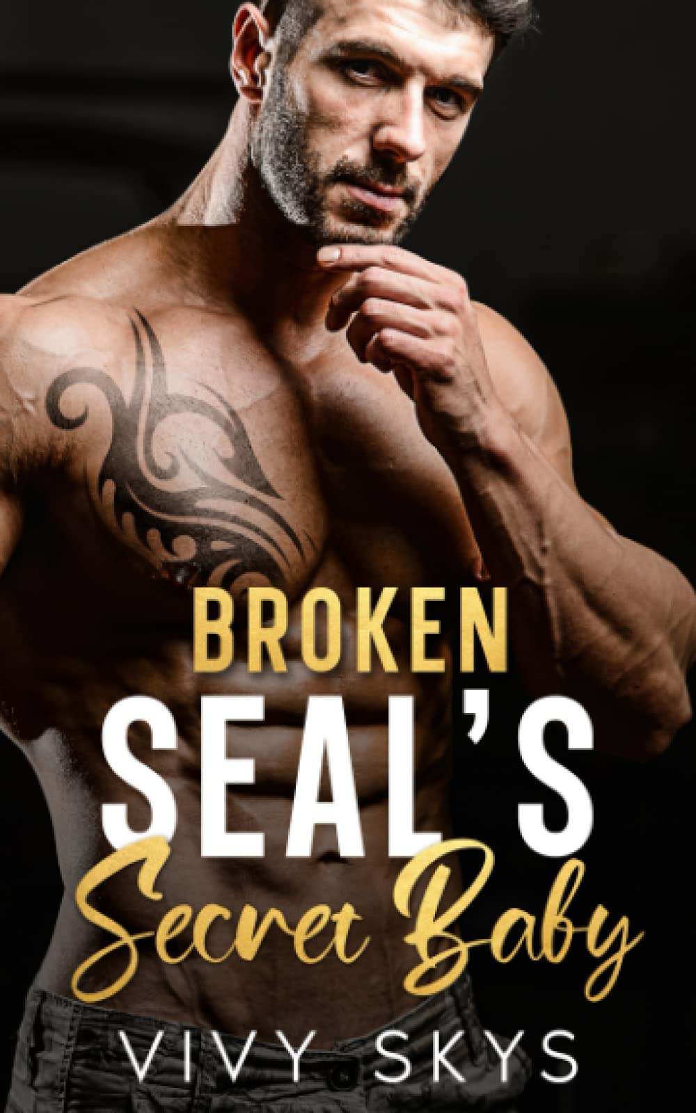 Broken SEAL'S Secret Baby: A Brother's Best Friend Enemies To Lovers Romance (Billionaire Protectors: (The Lanes Series))