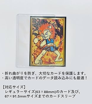 Amazon.co.jp: 【3個セット】BRサイドローダー クリア Rサイズ 5