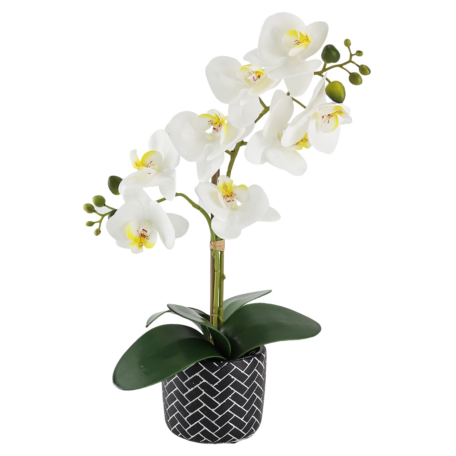 SENCOS White Fake Orchid