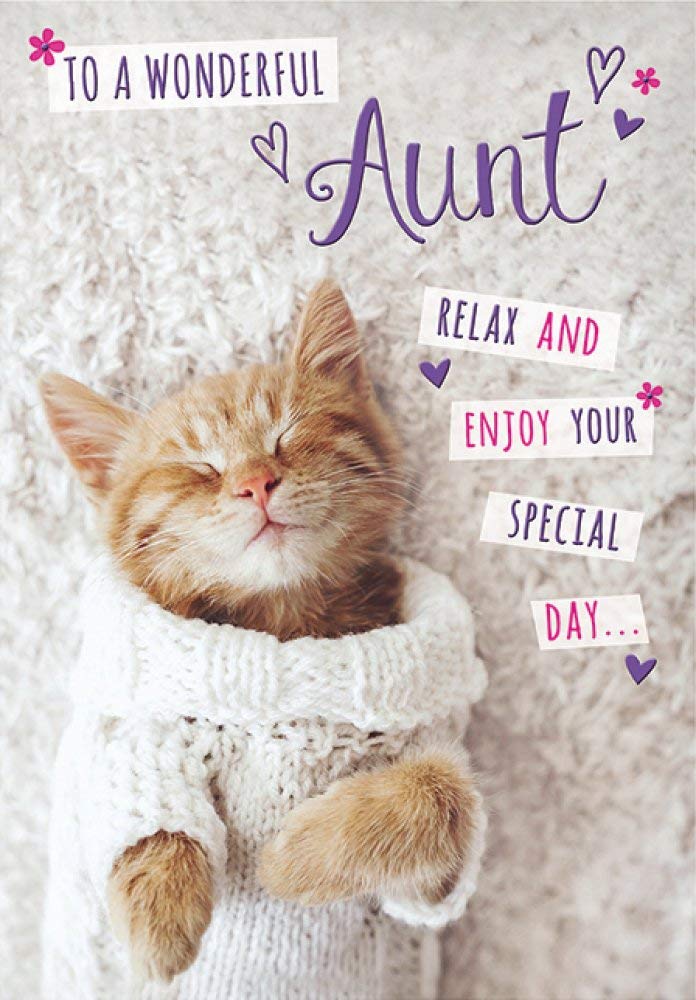 Piccadilly Greetings LOVELY COLOURFUL CUTE SLEEPING KITTEN TO A WONDERFUL AUNT BIRTHDAY GREETING CARD