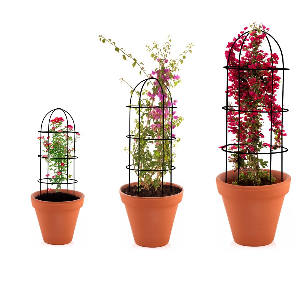 TrustBasket Obelisk Trellis for Climbing Plants (Set of 3) | Plant Support for Climbers | Indoor/Outdoor | for Balcony, Living Room Decor (B07YQRP27C) Amazon Price History, Amazon Price Tracker