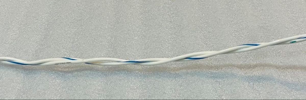 極太 テフロン被覆 高純度シルバーコート無酸素銅撚線 2本ツイスト 5m MILスペック