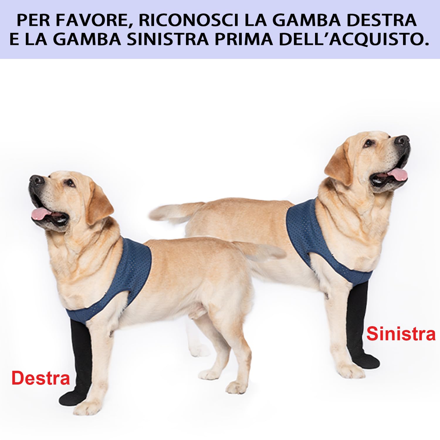 COODEO Calzini Protettivi per Cani Antileccatura, Copri Zampe con Suola Antiscivolo per Protezione Ferite e Guarigione, Scarpette Impermeabili (Blu, 3XL_Sinistra)