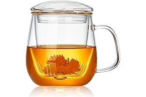 Glass Tea Cup with Infuser and Lid: Enhanced Tea-Time Indulgence