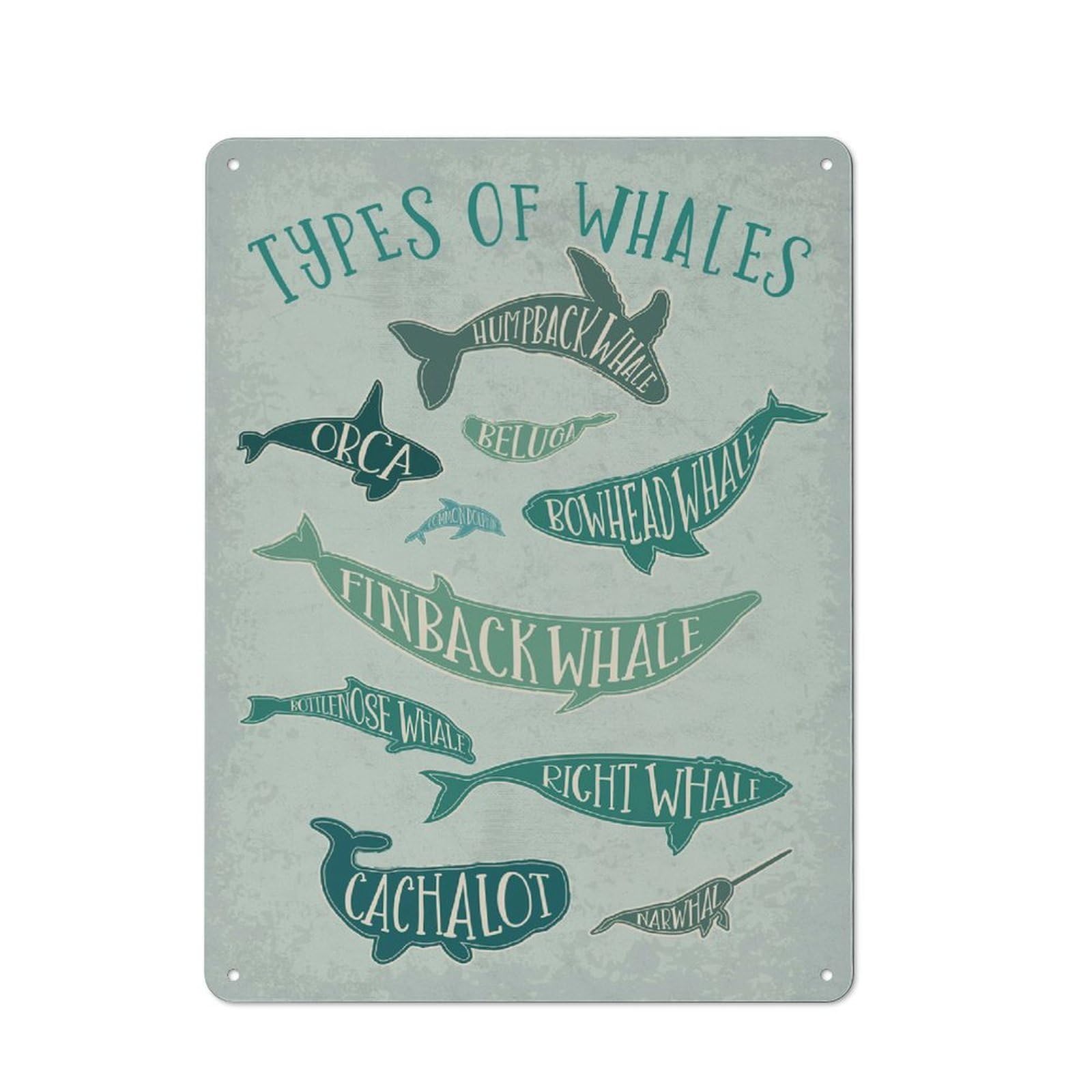 Decorative Metal Plaque with Vintage Whale Species Design 40x30cm, Warehouse Style Loft Wall Plaque for Flat, Bar, Studio Or Gallery Wall