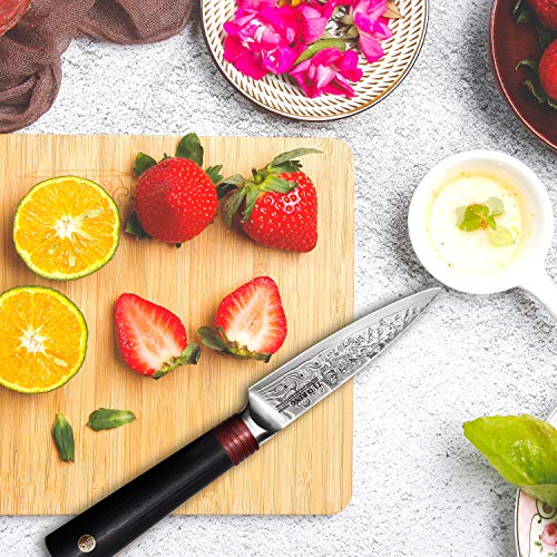Tuo Damascus Paring Knife, 3.5 Inch Peeling Knife, Fruit And Vegetable Kitchen Knife, Japanese Aus-10 High Carbon Steel, Full Tang Military Grade G10 Handle, Dishwasher Safe Ring-R Series #TOP5