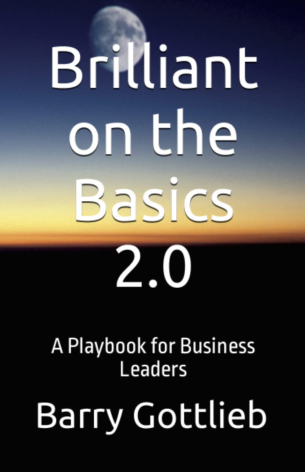 Brilliant on the Basics 2.0: A Playbook for Business Leaders