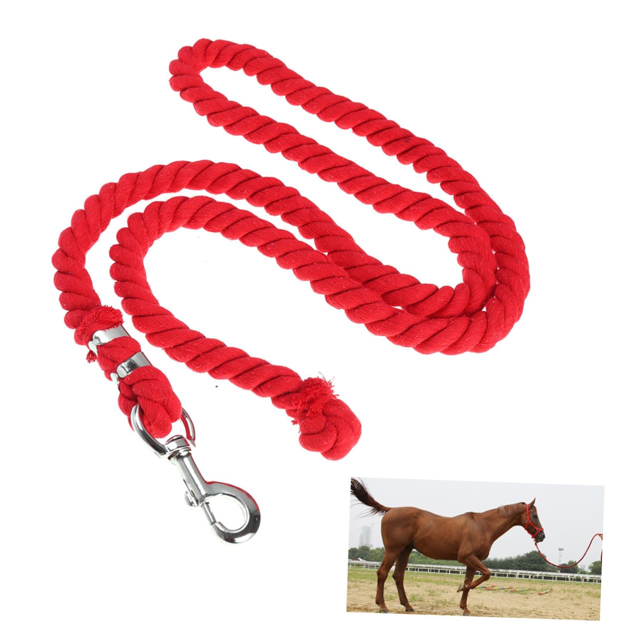Toddmomy Corda per Cavallo in Cotone 2 Metri con Moschettone Rosso