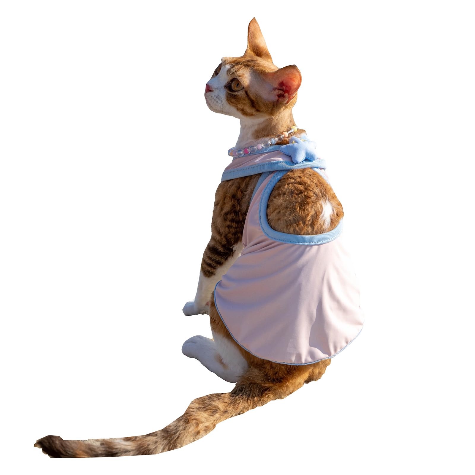 Robe en maille pour chat Sphynx anti-surchauffe Devon Rex rose