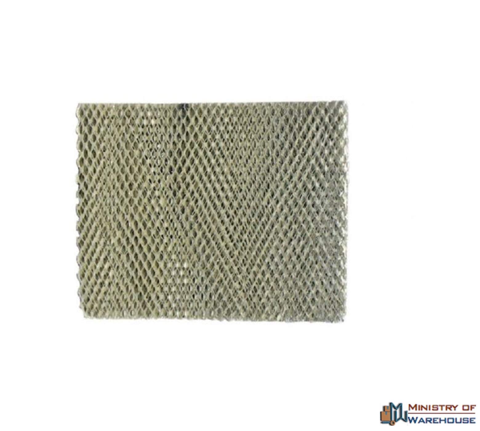 Pack of 2 Water Pad Filters 10