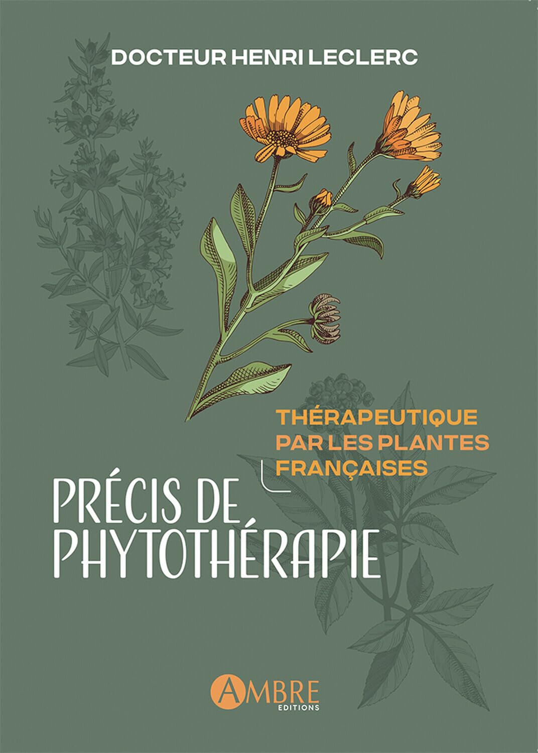 Précis de phytothérapie - Thérapeutique par les plantes françaises: Essais de thérapeutique par les plantes françaises