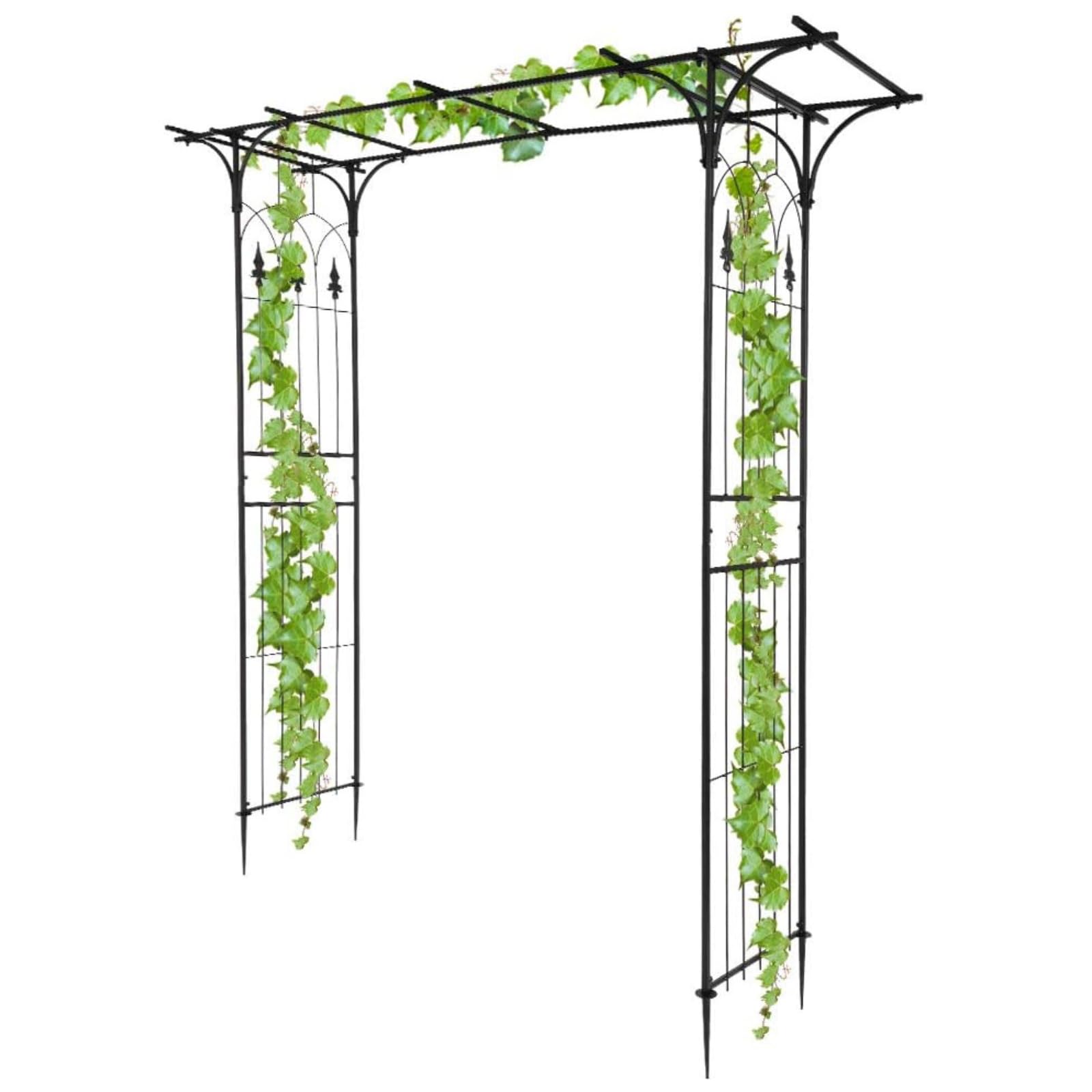 LEADZM Arche Métal Jardin, Arcade Mariage en Fer Revêtue de Poudre pour Plantes Grimpantes de Rose, 206x41x208cm Noir