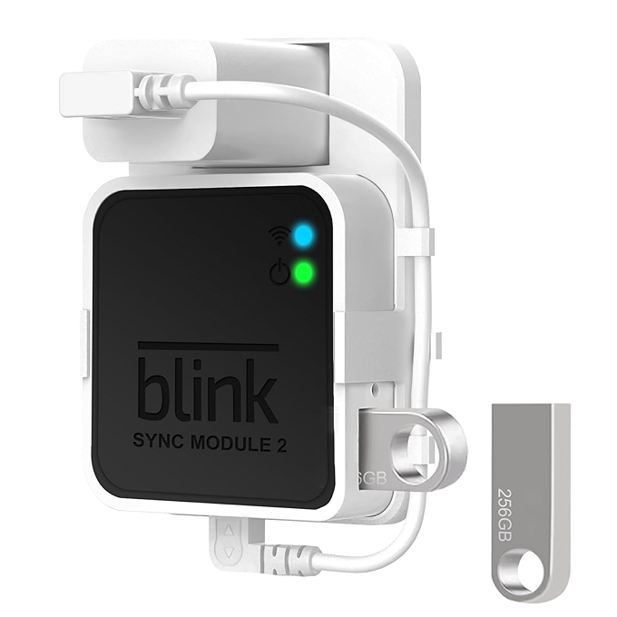 256GB USB闪存驱动器，适用于Blink Sync Module 2本地视频存储，有效节省空间的短线和支架。