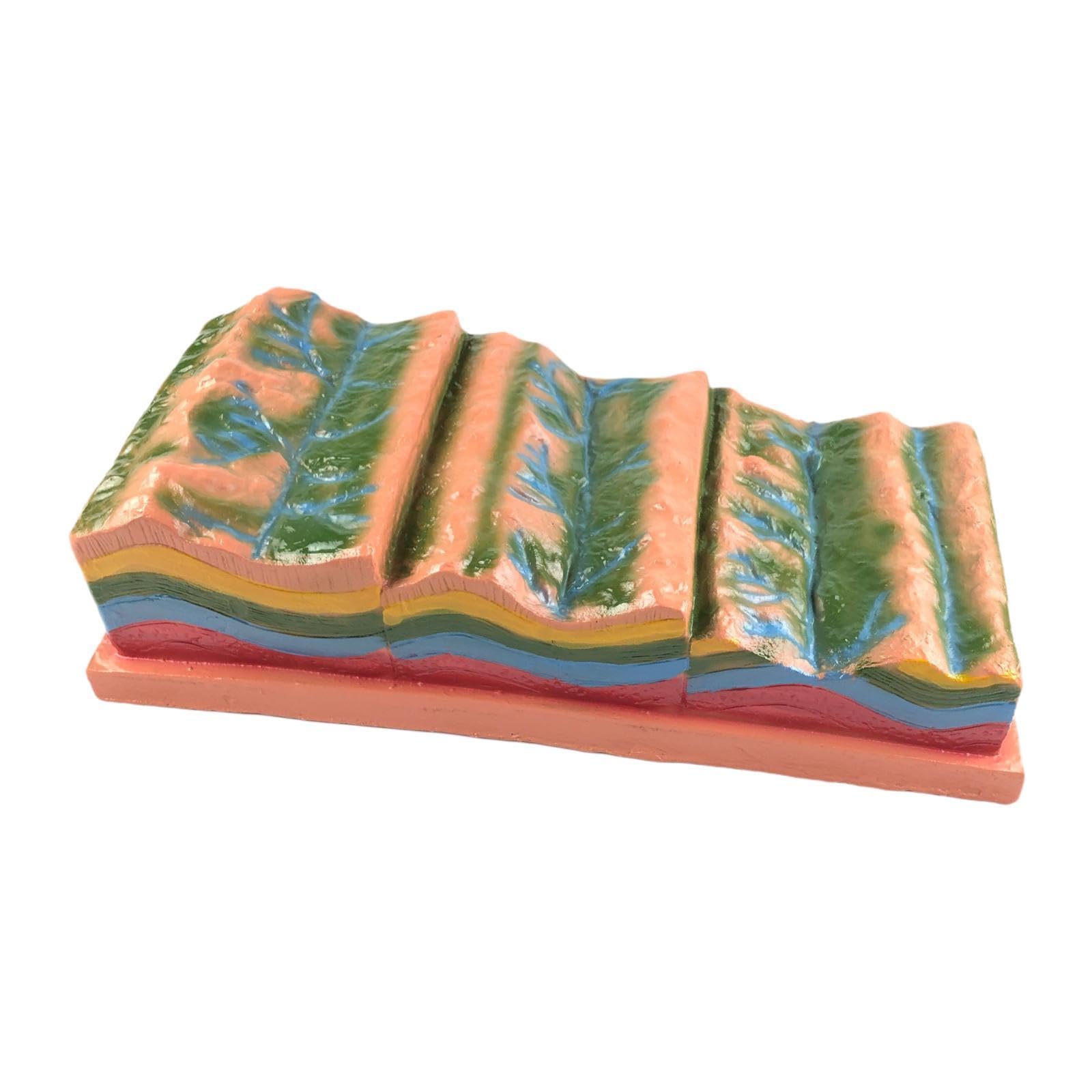 Geological Folding Model Classroom Aid – Fold Structure & Geomorphic Demonstration Tool, 17.72 Inch PP Material Educational Prop for Geography Teaching