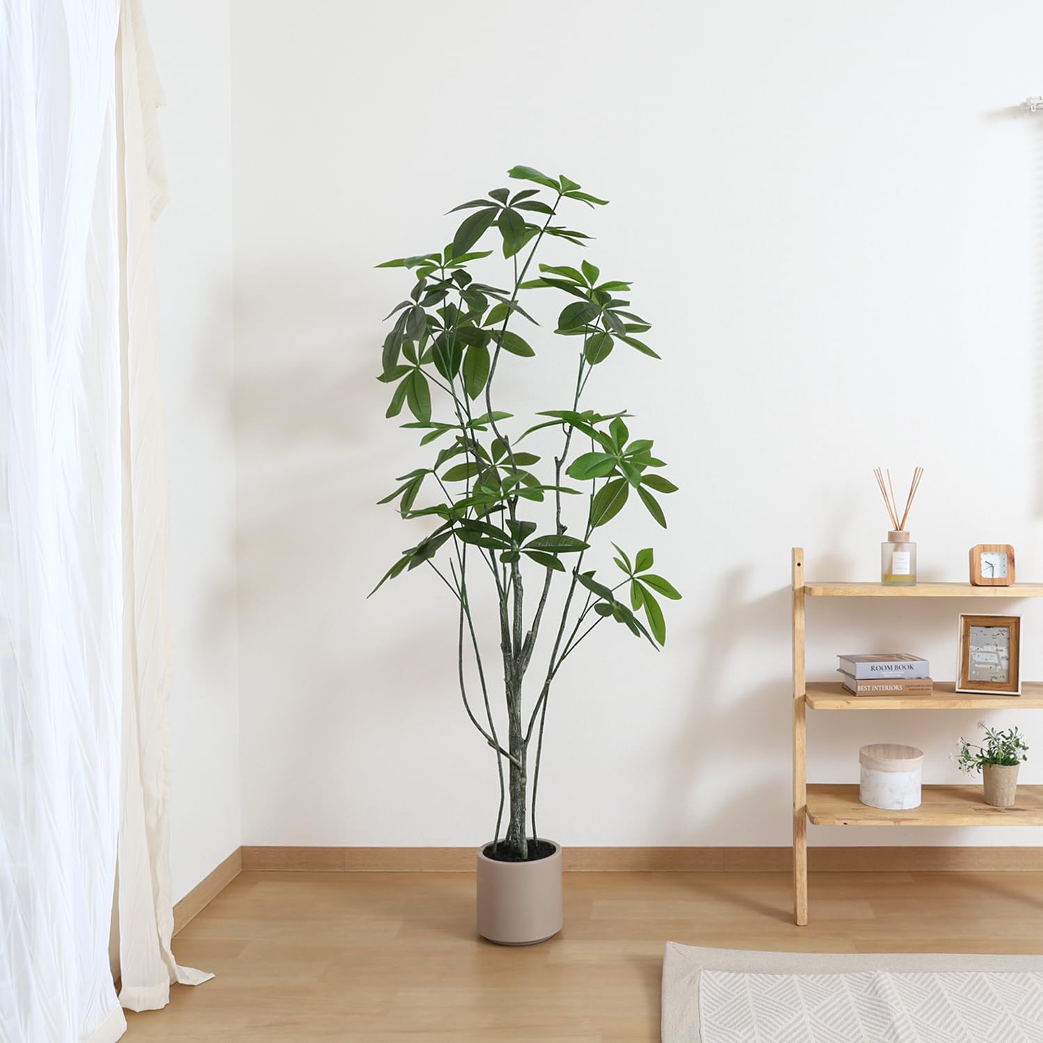 ビカクシダ☆リドレイ大型株☆板付き☆コウモリラン☆ridleyiワイルド ビカクシダ☆リドレイ大型株☆板付き☆コウモリラン☆ridleyiワイルド