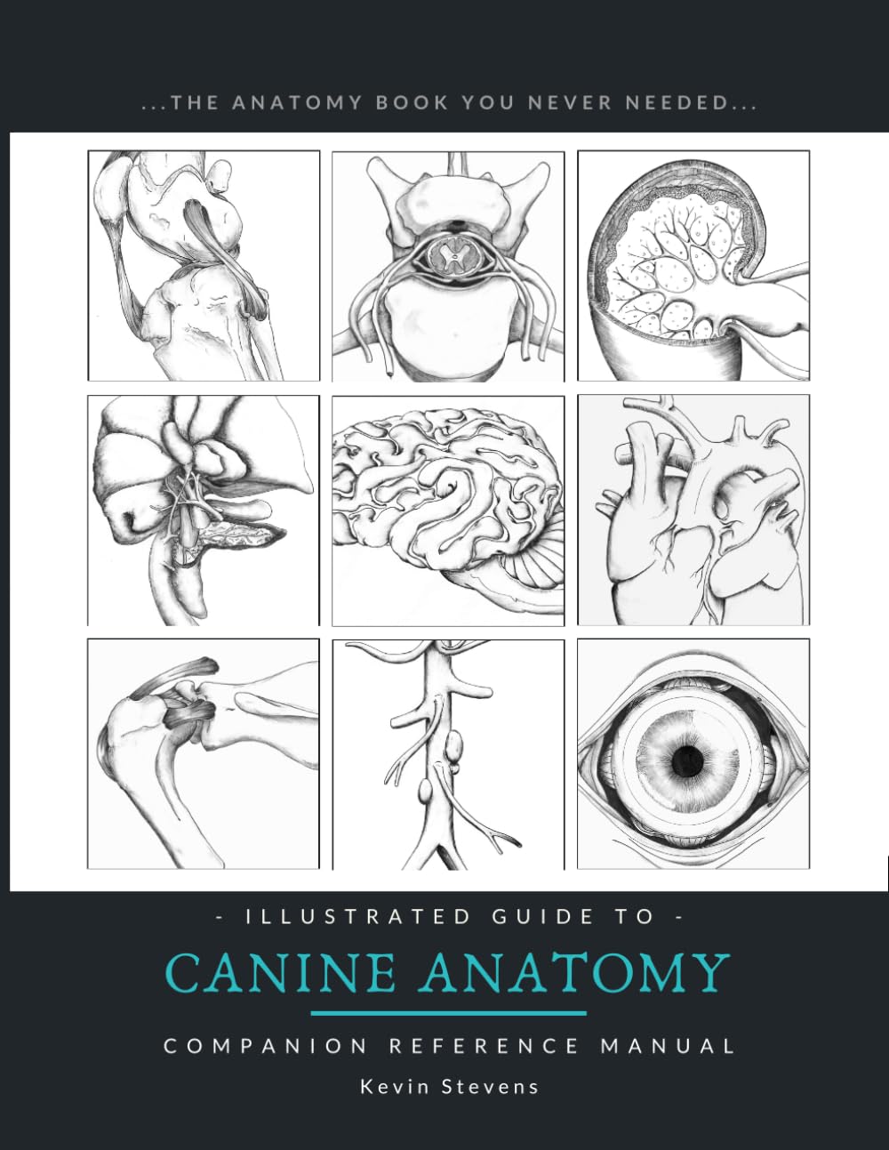 Illustrated Guide to Canine Anatomy