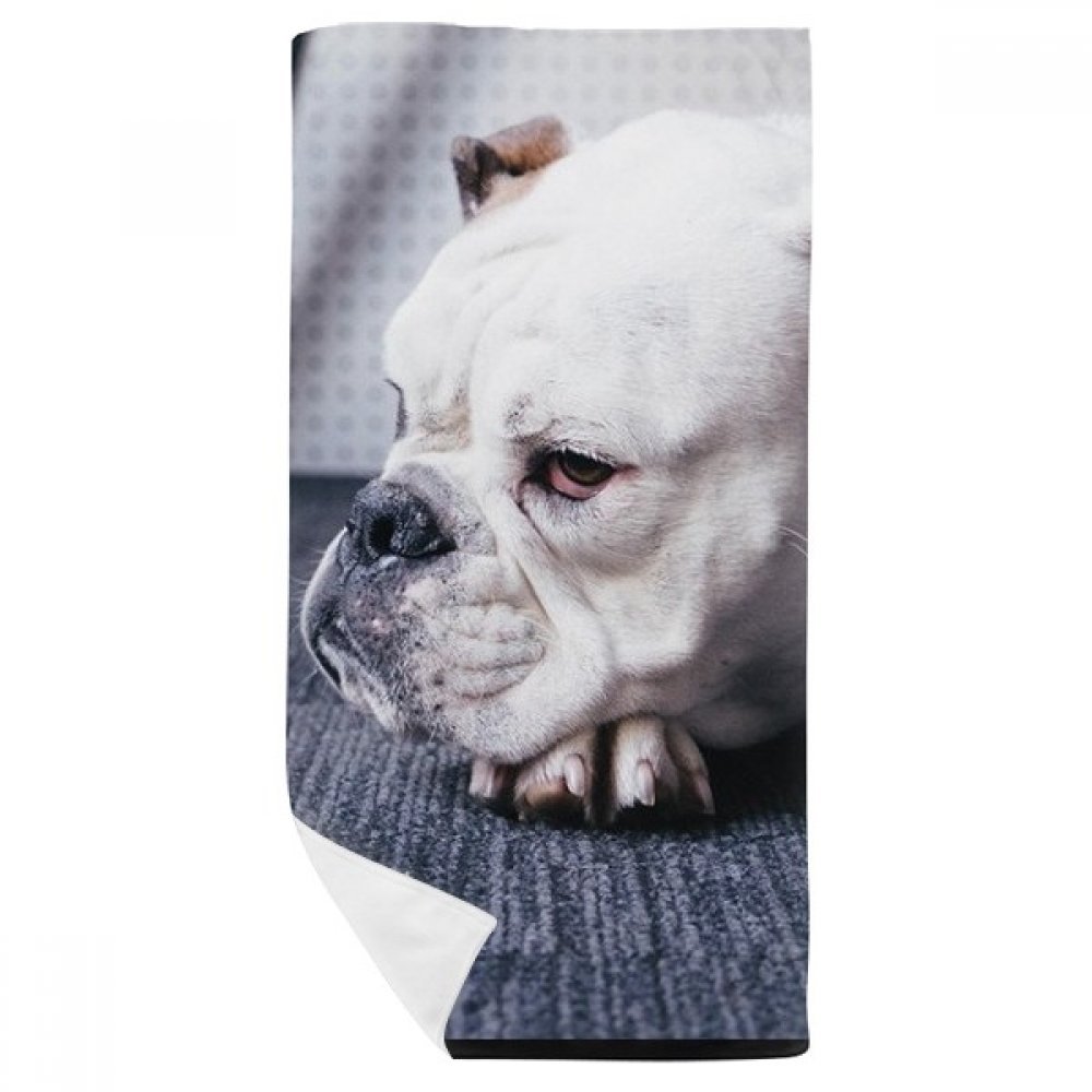 Gant de toilette doux chien gris et drap de bain multicolore animal 35x70cm