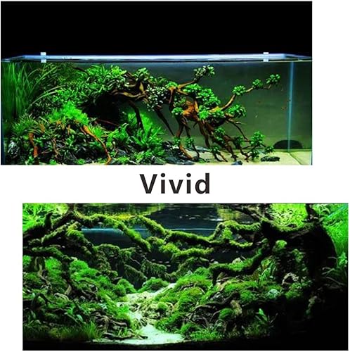 Miniatura 5 de 5 piezas de madera flotante para acuario de madera flotante, decoraciones de pecera, ramas de madera maciza de reptiles para pecera, escondite de