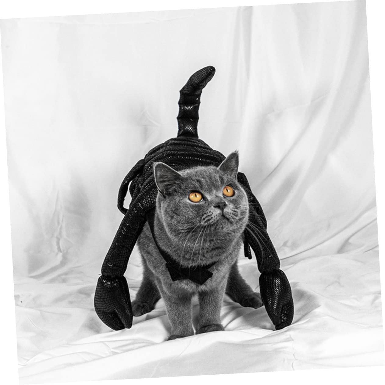 Decorazioni Natalizie,2 Pezzi Abbigliamento per Animali Domestici Felpa con Cappuccio per Cane Felpa con Cappuccio in Lana Vestiti per Gattini Costume per Animali Domesti