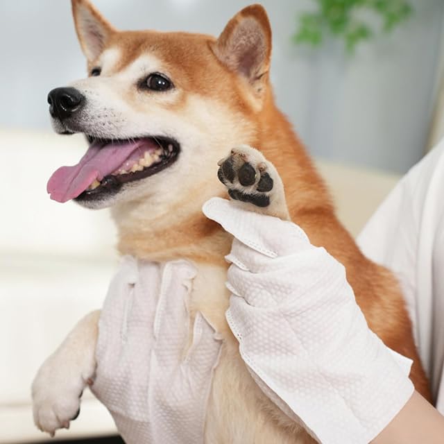 Foto 4 de 7 de GAOUTO Toallitas para mascotas para perros y gatos, 24 unidades/4 paquetes de guantes de aseo para mascotas