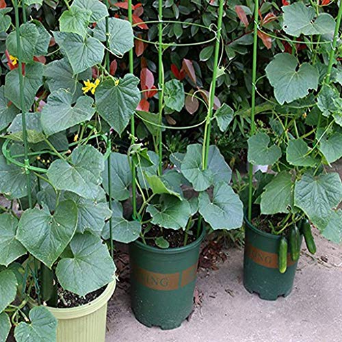 4 Pack Plant Support Cage, Vine Trellis Support 17.7" Flowers Plants Cage Triple Plastic Pillar with 3 Adjustable Rings, Plant Stake Plant Support for Home Garden Balcony - Thumbnail 7