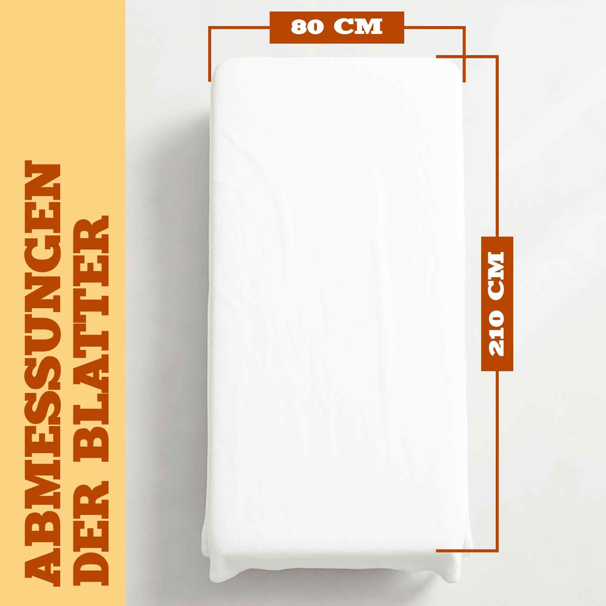 PimPam Factory - Massageliege bezug Verstellbare - 80x210 cm - 50 Stück - Hergestellt aus SMS-Material - Einweglaken Hypoallergen - Flüssigkeitsabweisend