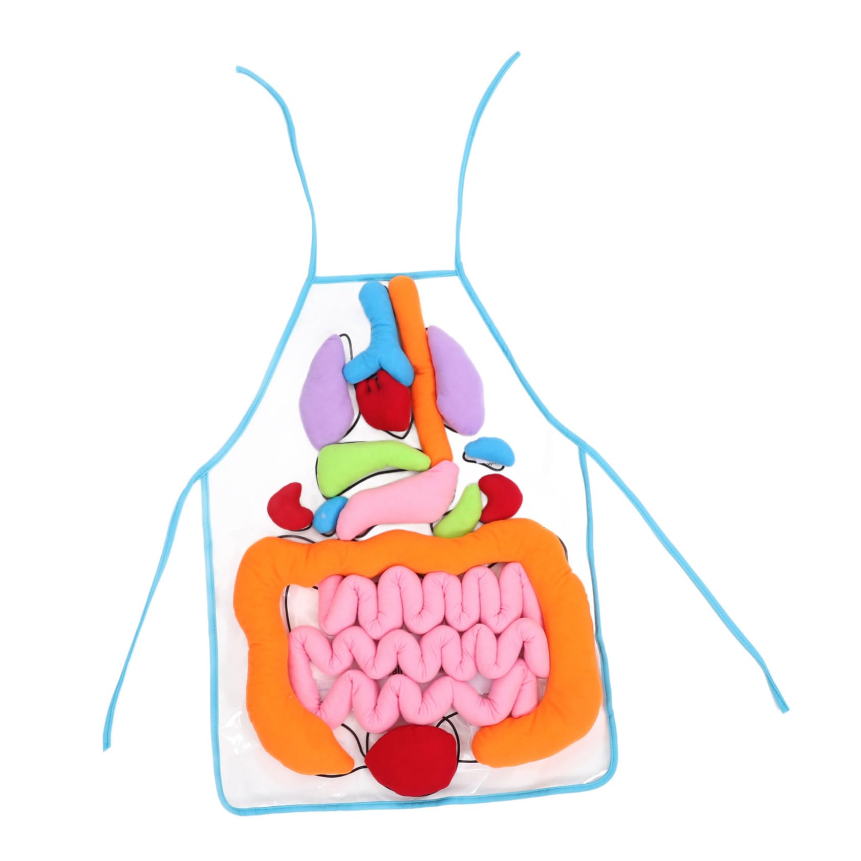 Delantal de Órganos del Cuerpo Humano en 3D para Niños Decoracion Colegio