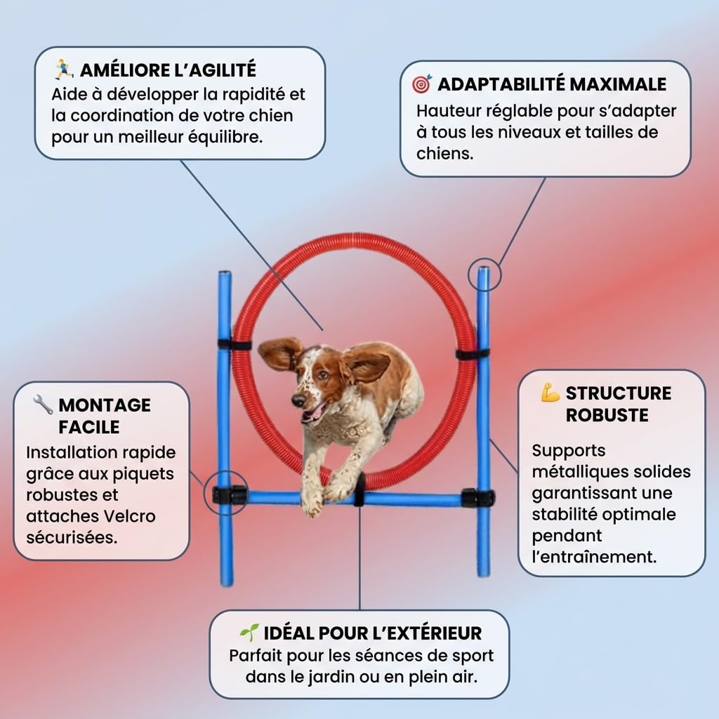 Cerceau d’Agilité pour Chien en Plastique avec Supports Métalliques Ajustables – Entraînement Canin Ludique et Renforcement de l’Agilité et de la Coordination