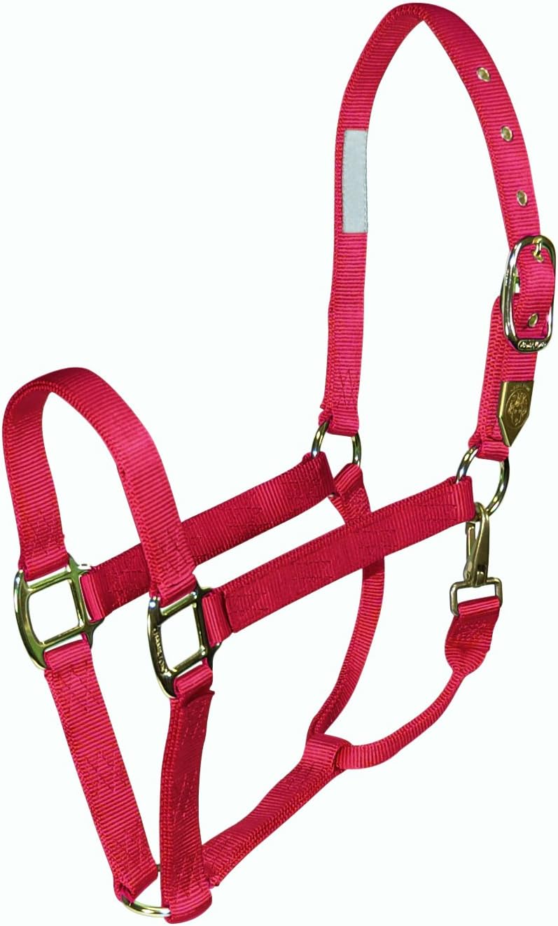 Hamilton 1DS AVRS 1 Horse Halter with Snap, Average Size, 8001100