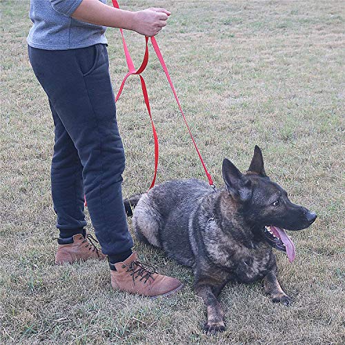 Image of Nylon Dog Training Lead Dog Leash Long Leash 75 Ft Long Leash for Dogs (1 inch Inch Wide by 75 ft Long) (Red Color)