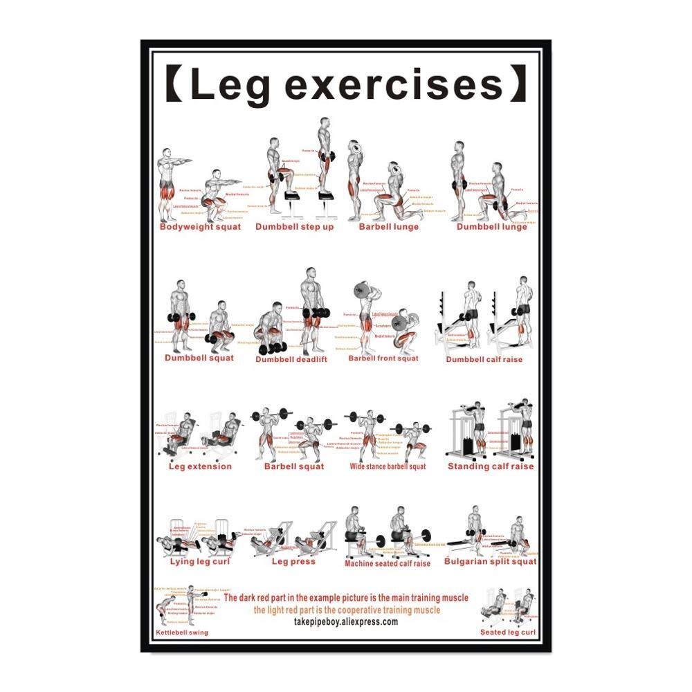 DDDCM Muscular System Anatomical Poster Muscle Anatomy Chart Anatomical Chart Human Body Educational For Human Anatomy Poster (Color : Light Yellow, Size : 40x60cm No Frame)