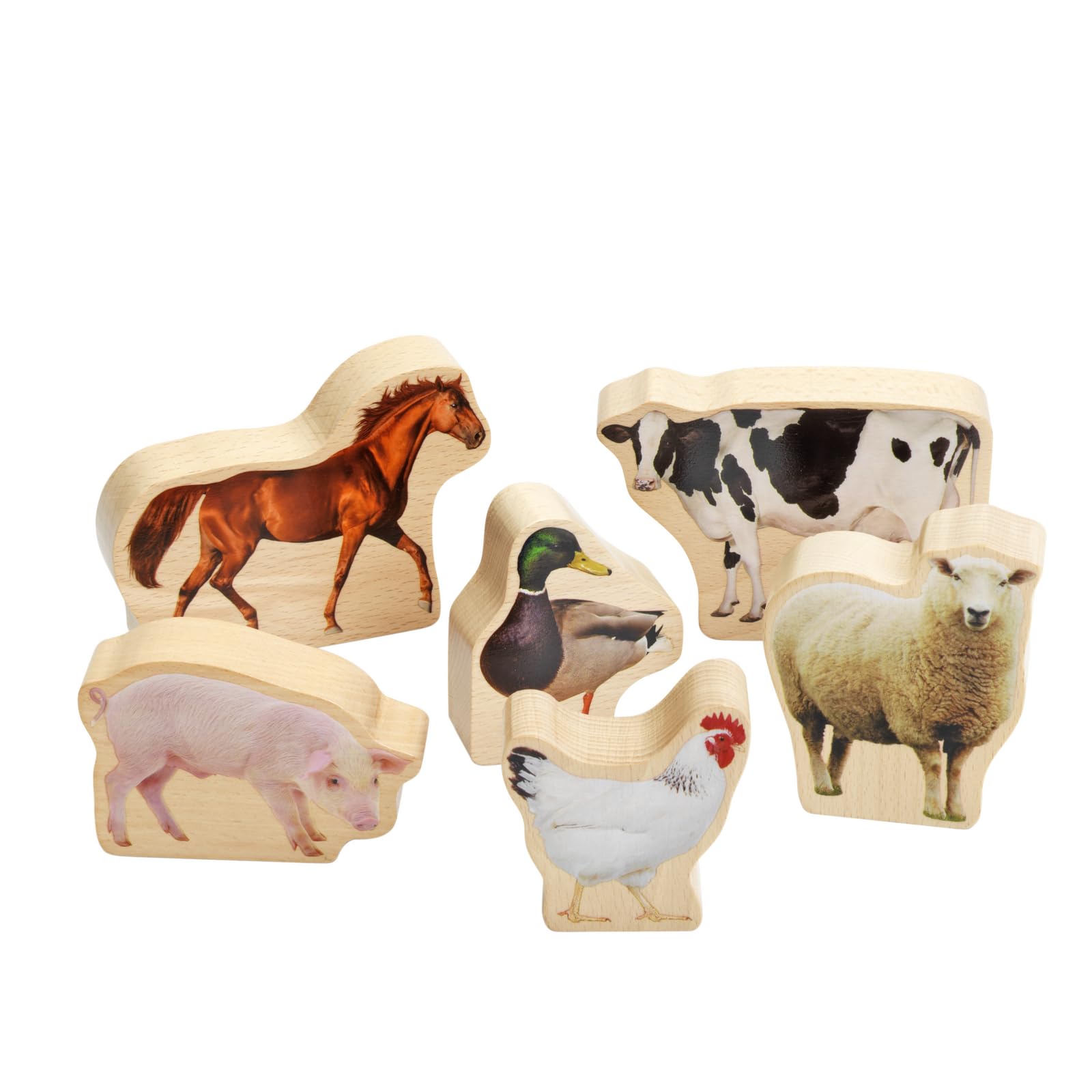 Excellerations Wooden Photo Blocks Farm Animals - Set of 6