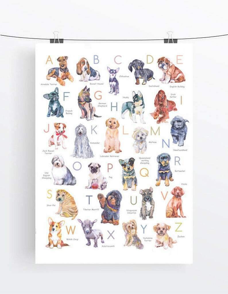 Tnnd Dog Alphabet Poster Abc Animals Watercolor Alphabet Nursery Art Playroom Kids Home Decor Art Wall Decor Metal Sign Poster 8X12 Inches