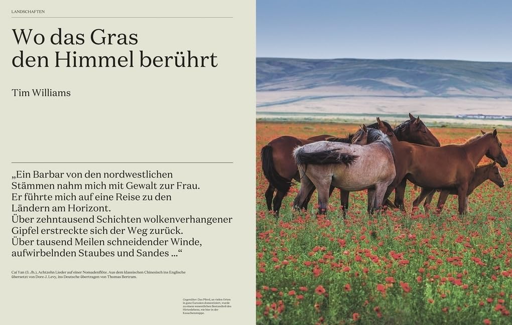 Die Seidenstraße: Landschaften und Geschichte