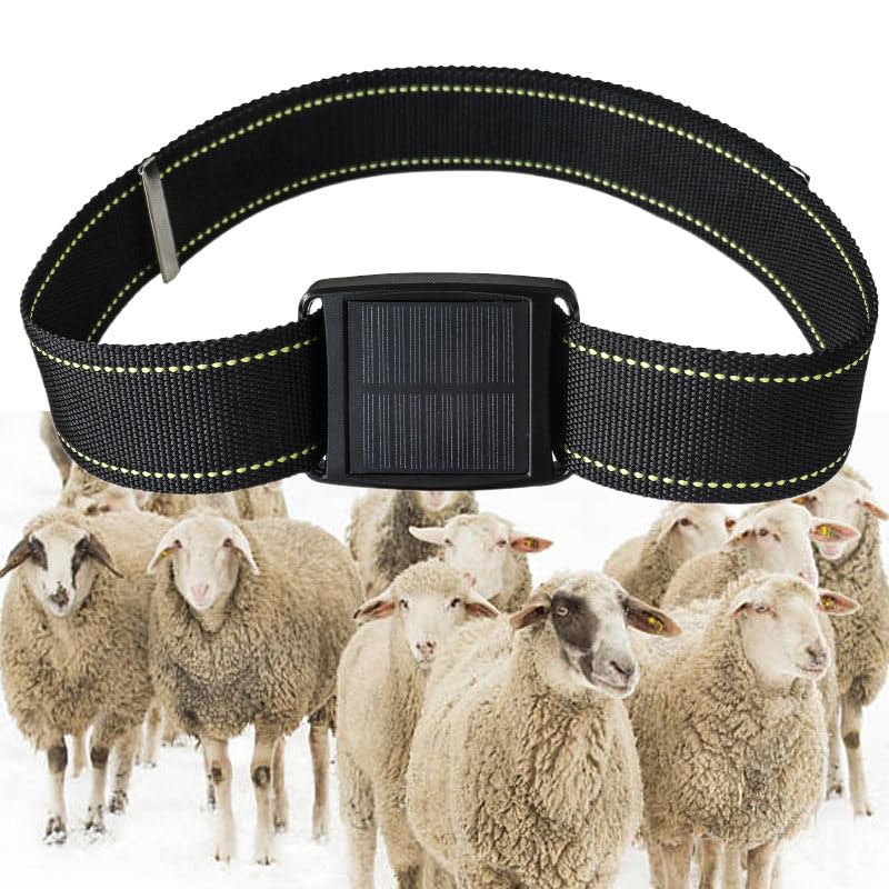 Rastreador GPS solar inteligente para ganado y cabras, aplicación móvil, senderos históricos, ubicación en tiempo real, dispositivo localizador de animales impermeable (una pieza)