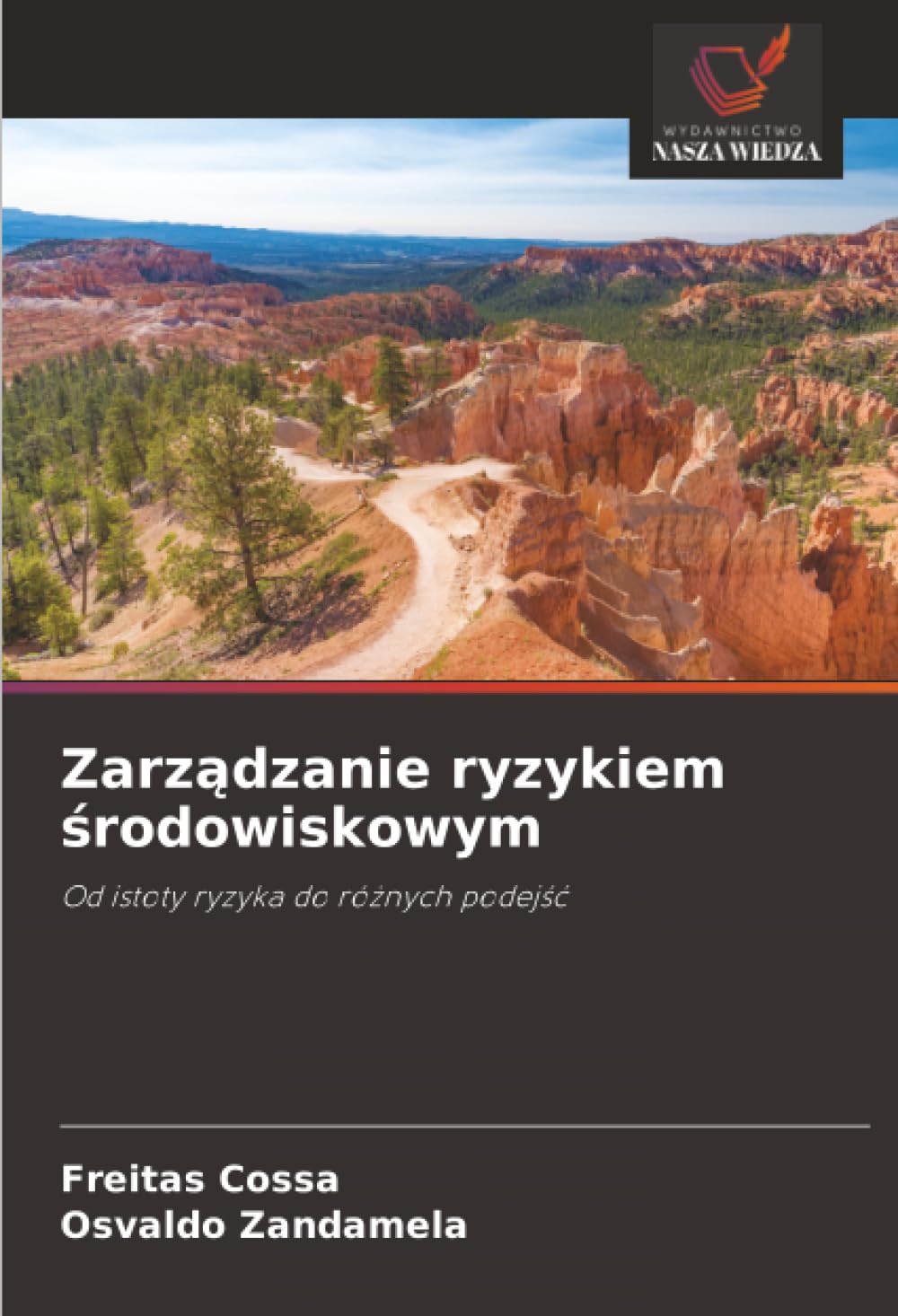 Zarz¿dzanie ryzykiem ¿rodowiskowym: Od istoty ryzyka do ró¿nych podej¿¿
