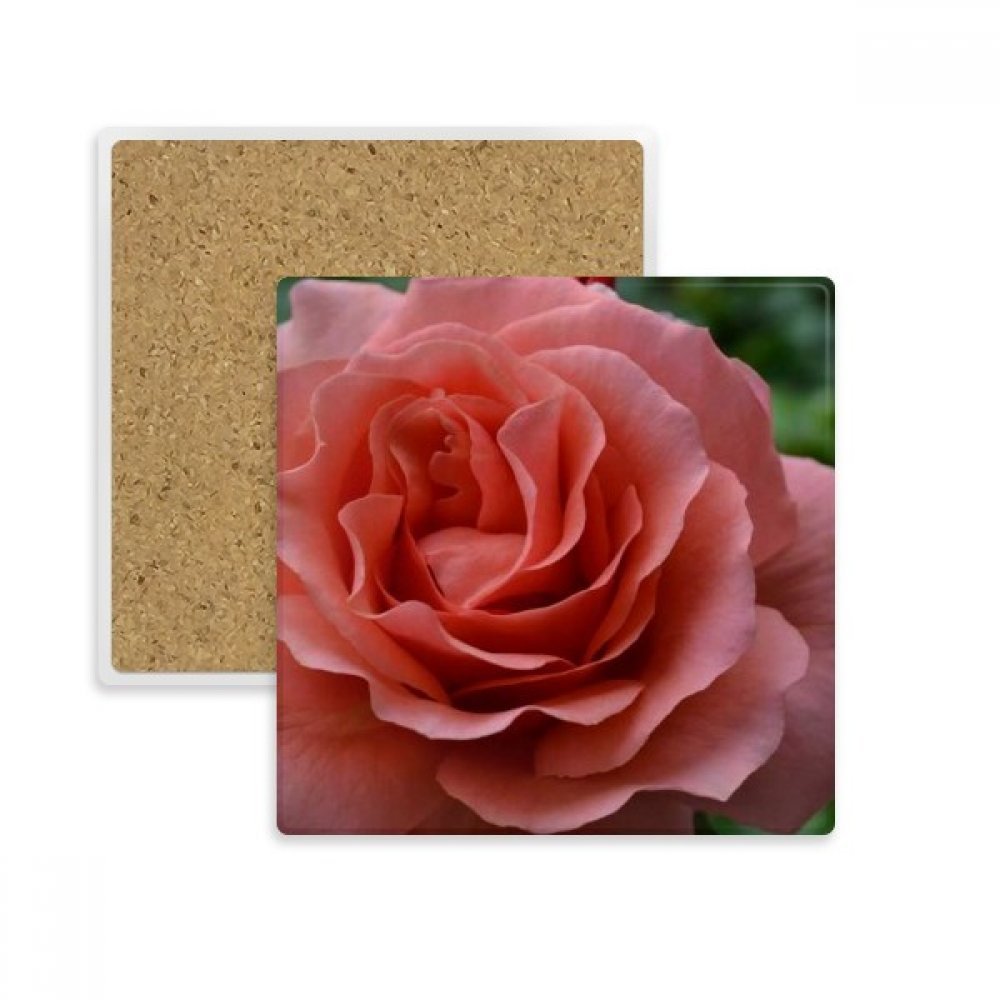 Dessous de verre absorbant feuilles vertes roses pour apéritif en terrasse et tasses