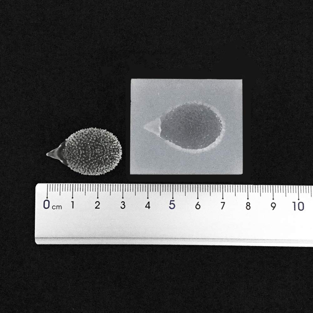 Amazon.co.jp: 【ハリネズミ】モチーフ レジン用ソフト シリコン