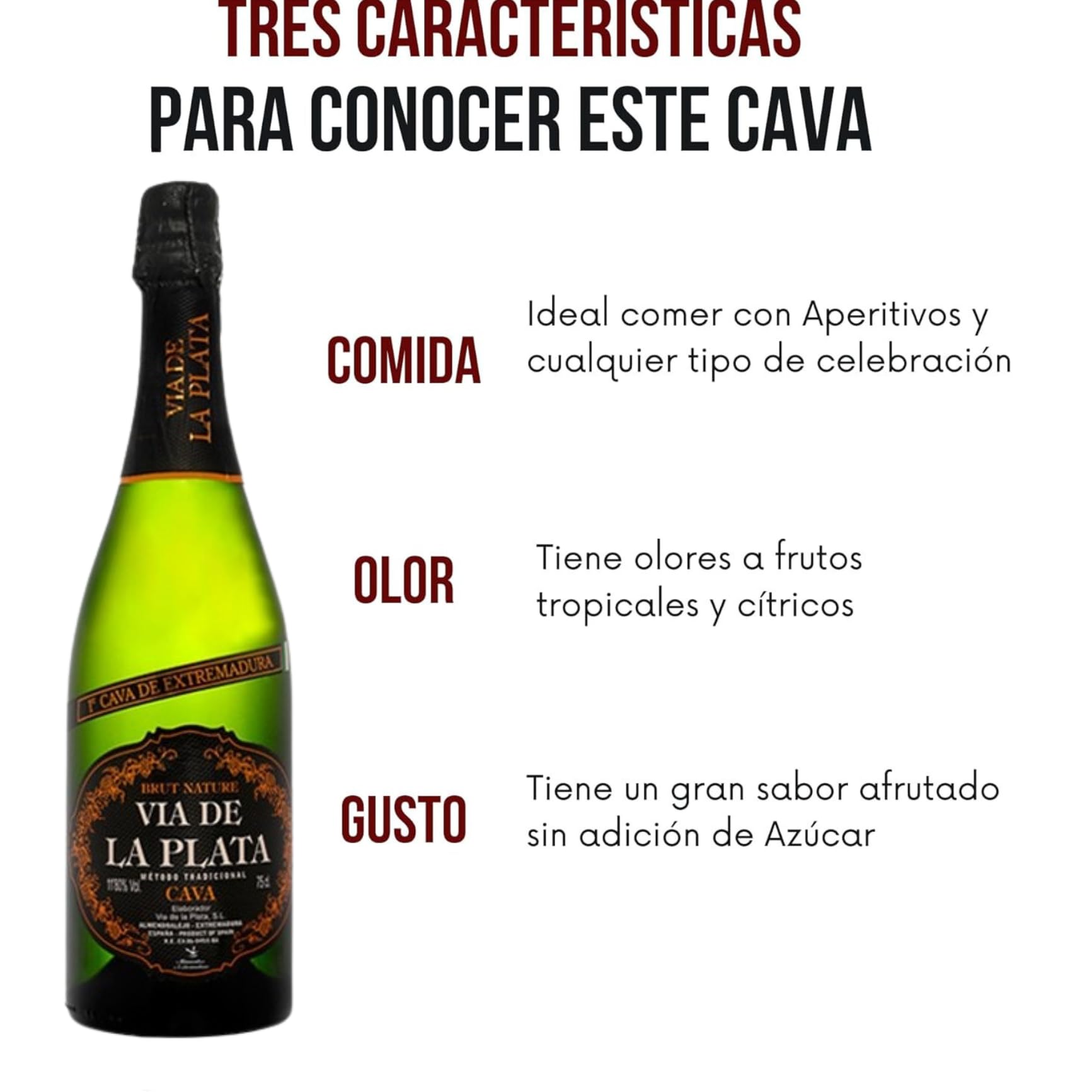 Cava via de la plata - brut nature - Mejor cava reconocido 2023 - Top ventas del año - superando cavas catalanes - 6 botellas 75cl