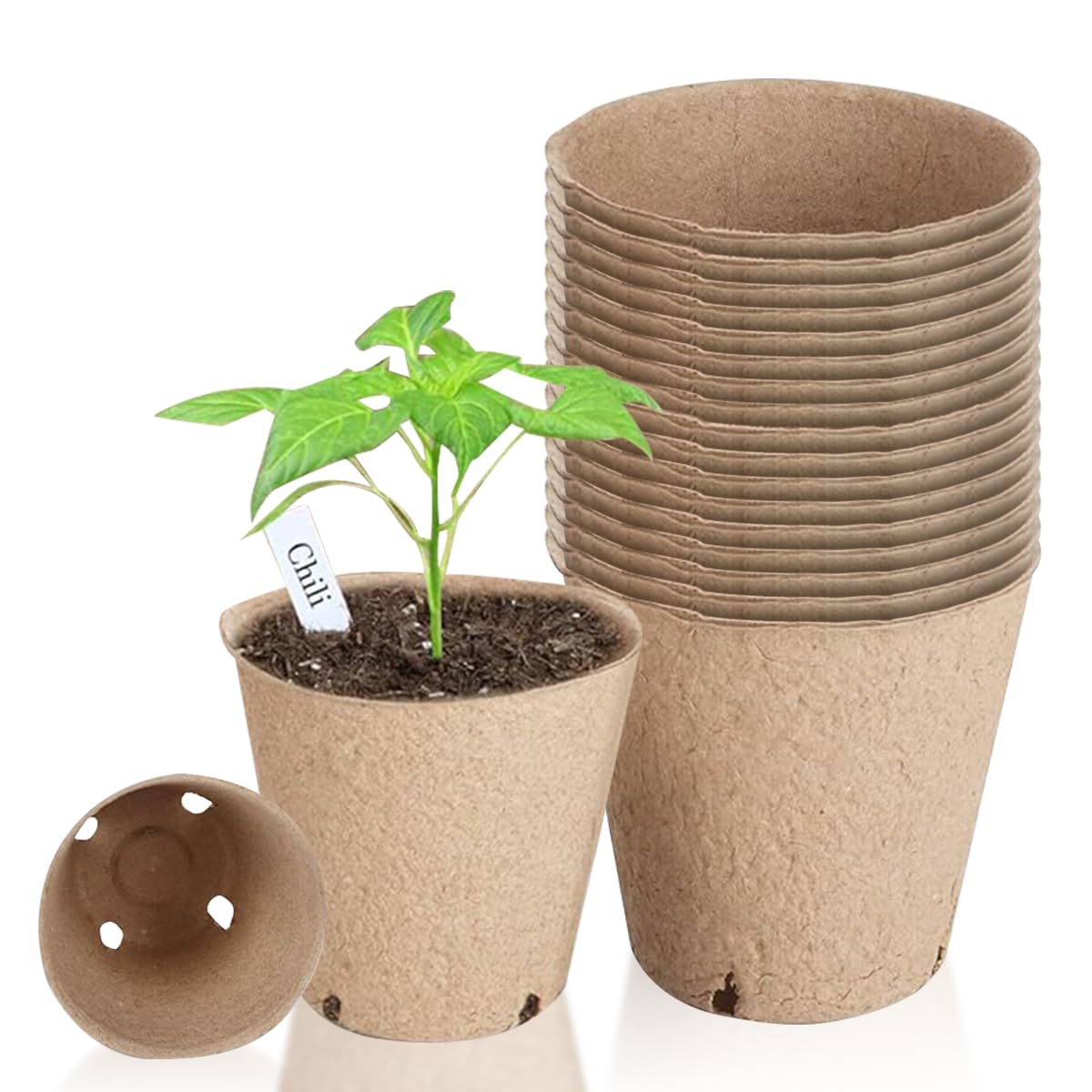 HASTHIP® Degradable Nursery Seedlings Peat Pots - 20Pcs Round Plant Seedling Pots - Garden Seed Starter Tray Kit with Drainage Holes - Gardening Pots Planters & Accessories - for Plant & Nursery (B0CW9K8X8Q) Amazon Price History, Amazon Price Tracker