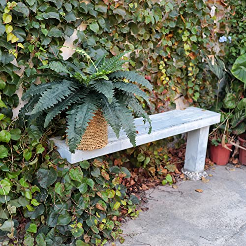 Congfuhepmui Artificial Ferns For Outdoors & Indoors 33" Spread, 2 Stems Large Fake Boston Fern Silk Greenery Plants For Porch Home Windowsill Planters Garden Decor #TOP6