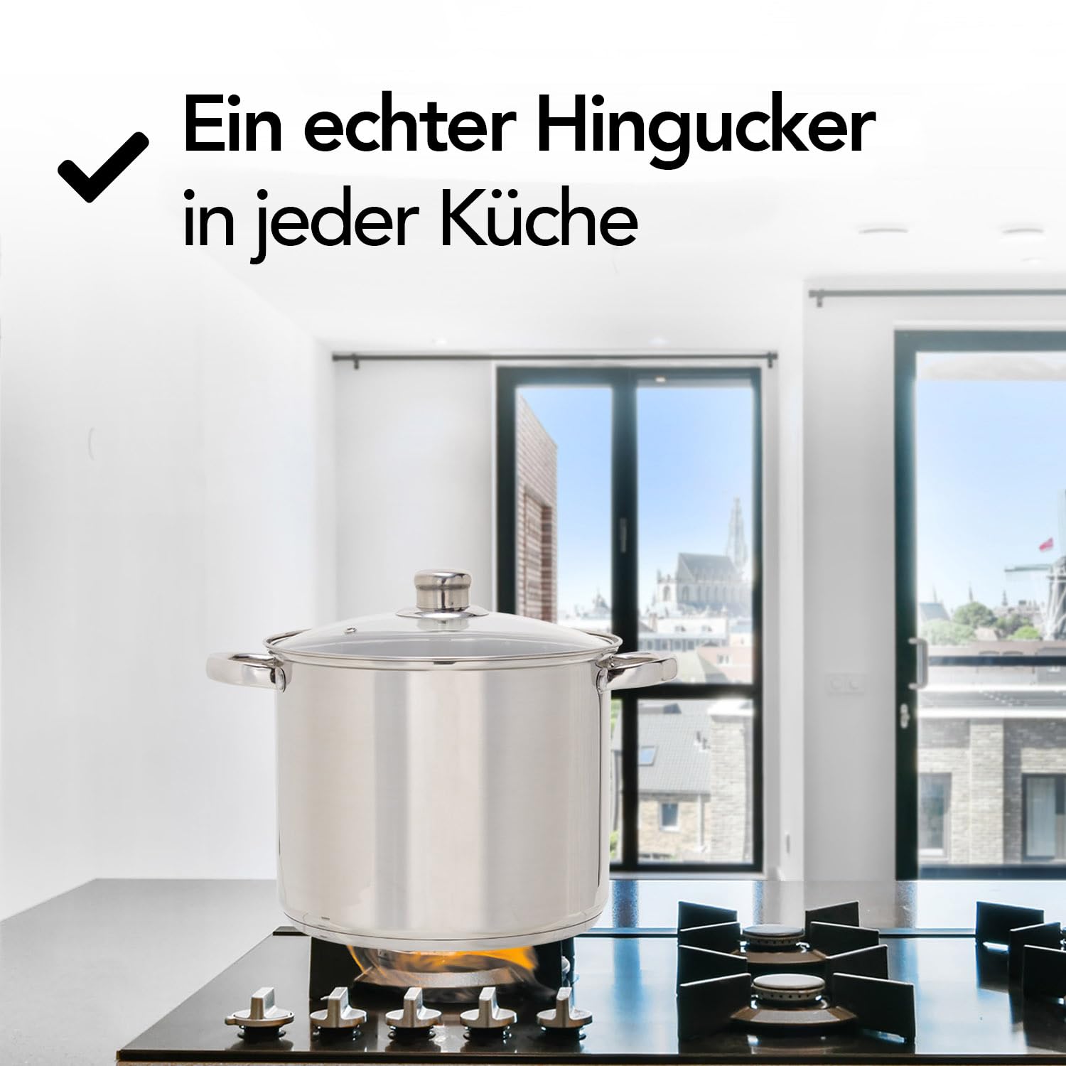 Brixy Suppentopf Kochtopf mit Glasdeckel, 16,5 Liter Fassungsvermögen, 30 cm Durchmesser, Induktionsgeeignet, Edelstahl Silberfarben
