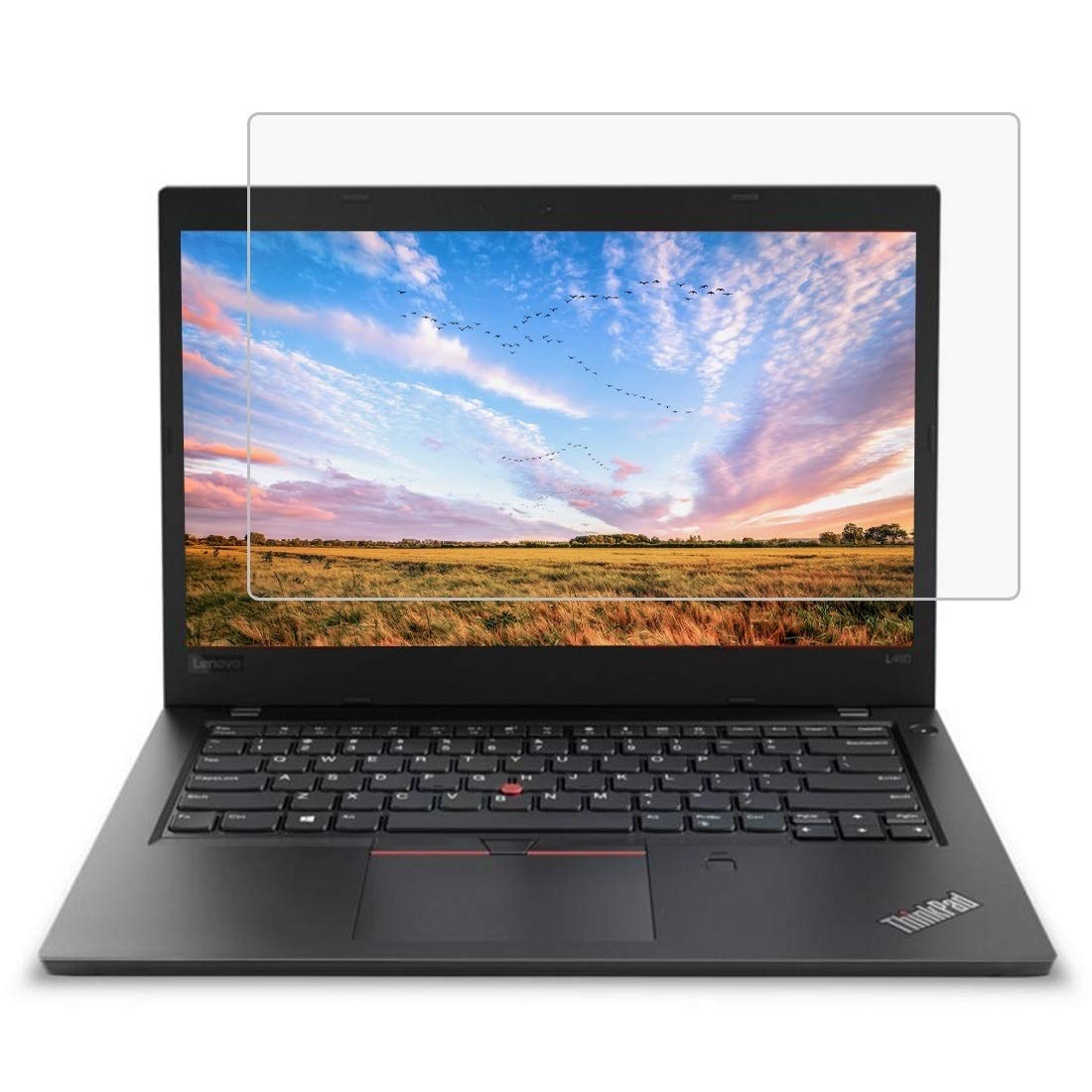 Amazon.co.jp: コンピュータ画面保護フィルム Lenovo ThinkPad L480 14