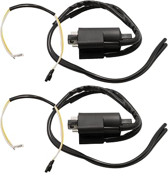 2Pcs Ignition Coil, 12V Motorcycle Accessory Ignition Coil, Replacement for Suzuki GSF400 GSF600 GSF1200 Bandit