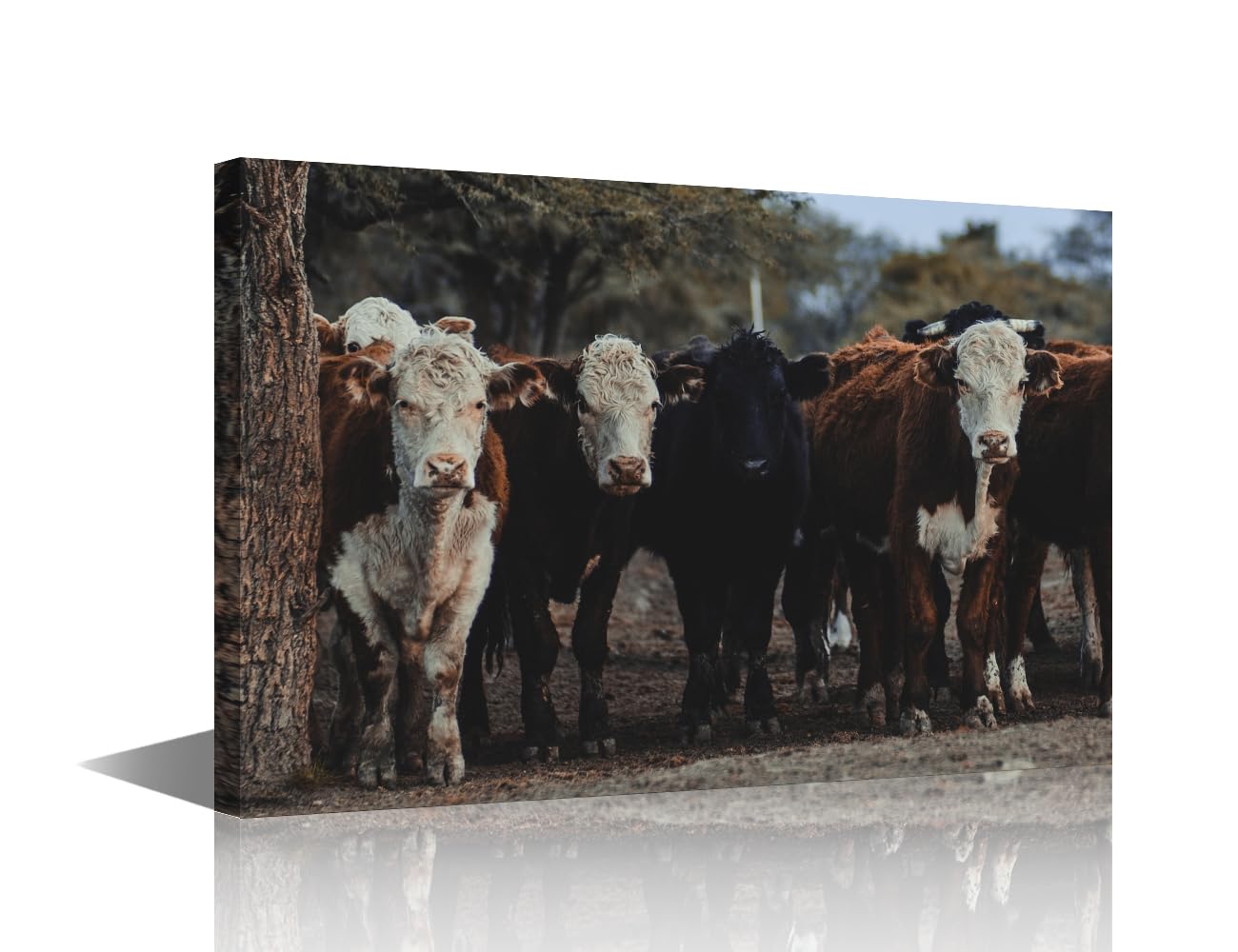 TISHIRON 1 Panels Argentina Shorthorn or Durham Cows Picture Livestock Animal Portrait Farmhouse Wall Decor Canvas Print Bathroom Painting Cattle Artwork Kitchen Living Room Nursery Home (12" Wx18 H)