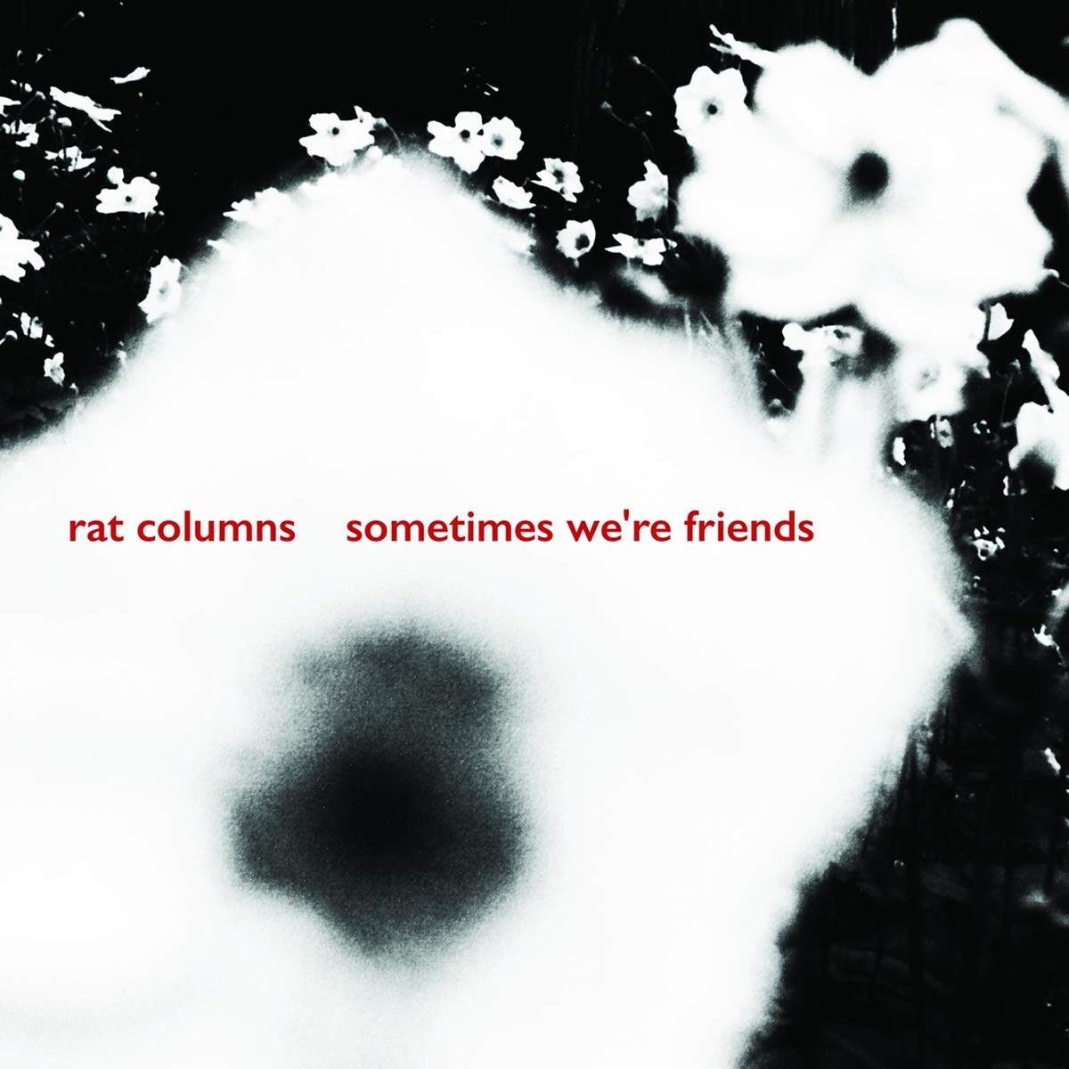 Sometimes We're Friends by Rat Columns (Record, 2018)