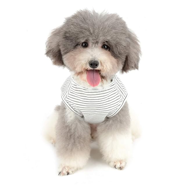 Foto 7 de 8 de Zunea Camisetas para perros pequeños Chico Chaleco a rayas Verano Tank Top Ropa de Cachorro Mascota Gatos…