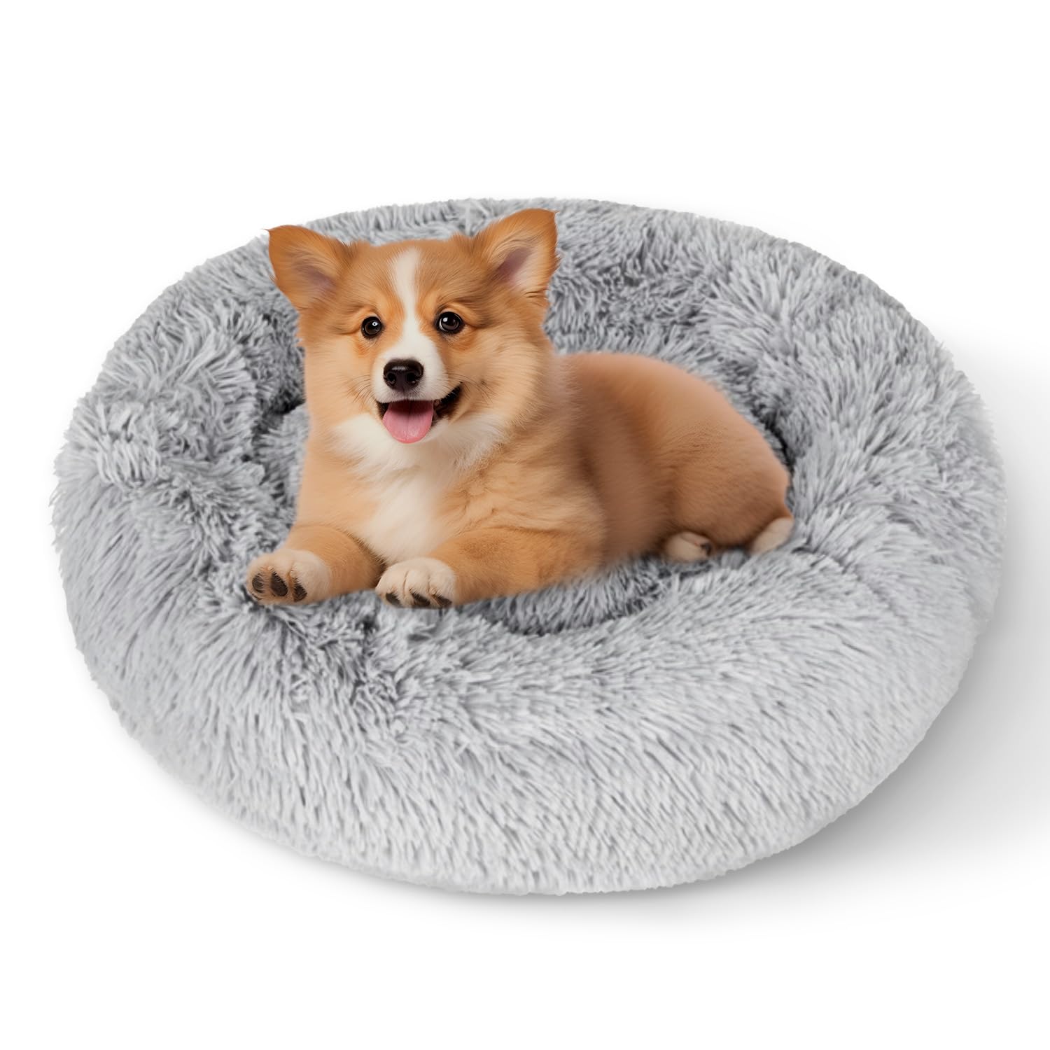 Dafencar Cuccia per Gatti, 50 x 30 x18 cm Cuccia Cane Interno, Lavabile, Adatto a Gatti, Cani di Piccola e Media Taglia